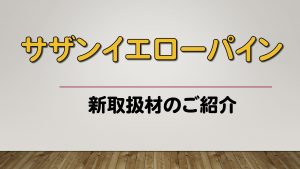 ツーバイ材 東京木材相互市場